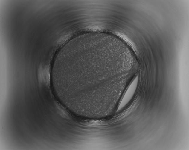 X0000093480493200711091629