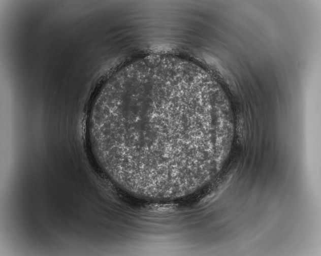 X0000093480495200711091629