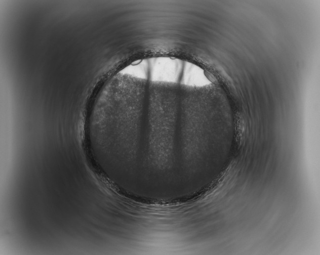 X0000093480496200711091629