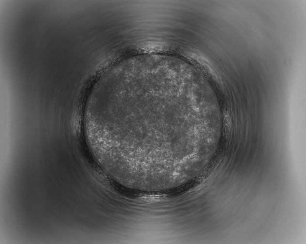 X0000093480499200711091629