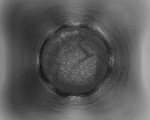 X0000093480500200711091629