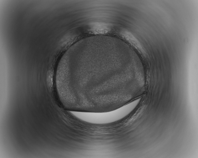 X0000093480501200711091629
