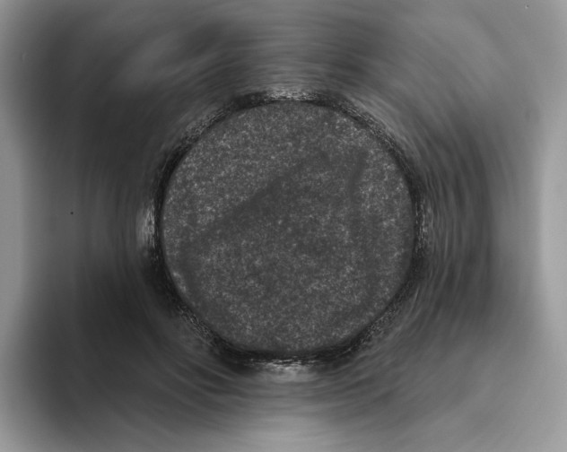 X0000093480502200711091629
