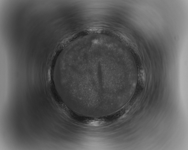 X0000093480504200711091629