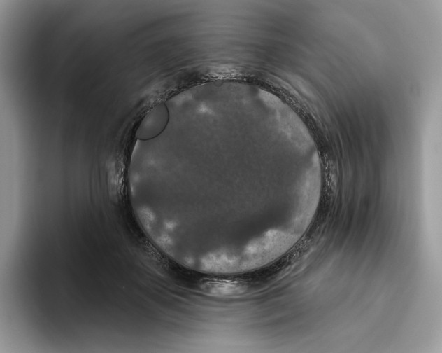 X0000093480507200711091629