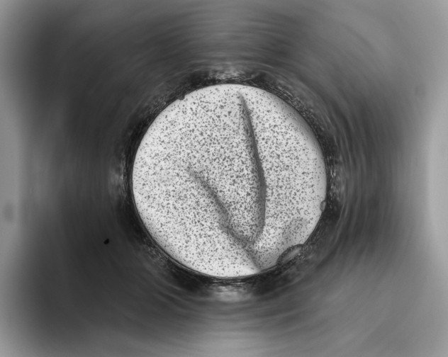 X0000093480510200711091629