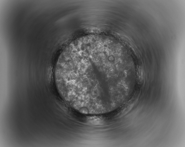 X0000093480511200711091629