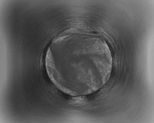 X0000093480516200711091629
