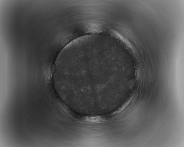 X0000093480517200711091629