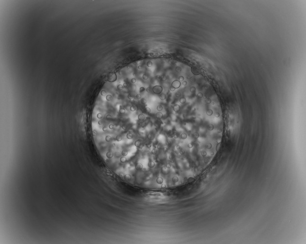 X0000093480519200711091629