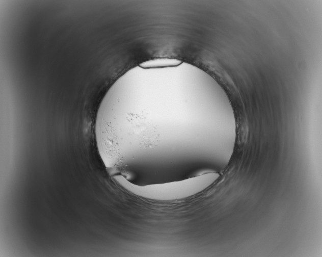 X0000093480521200711091629