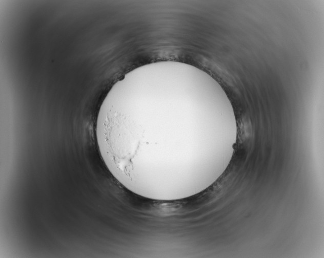 X0000093480522200711091629
