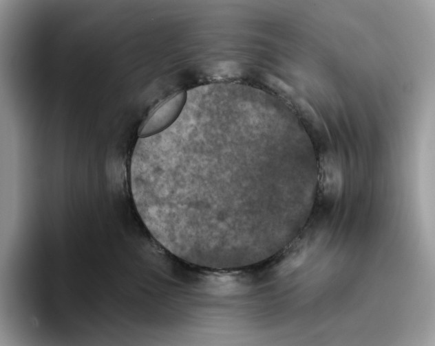 X0000093480523200711091628