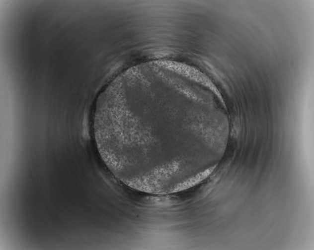 X0000093480524200711091628