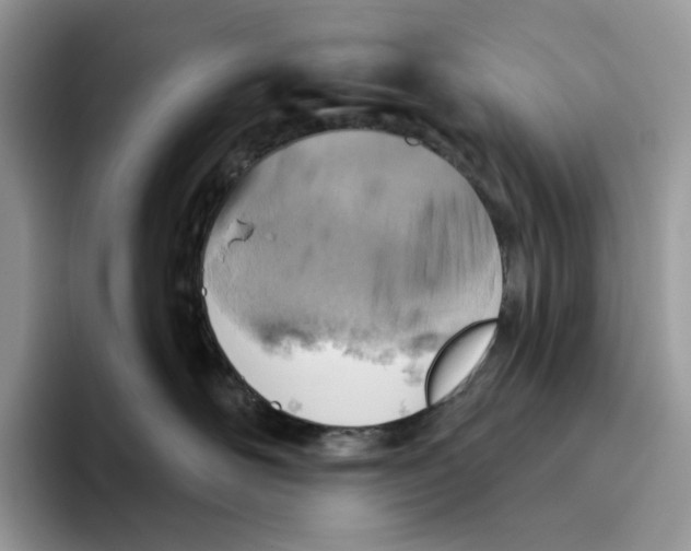 X0000093480526200711091628