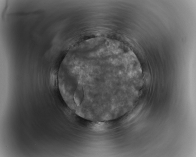 X0000093480527200711091628