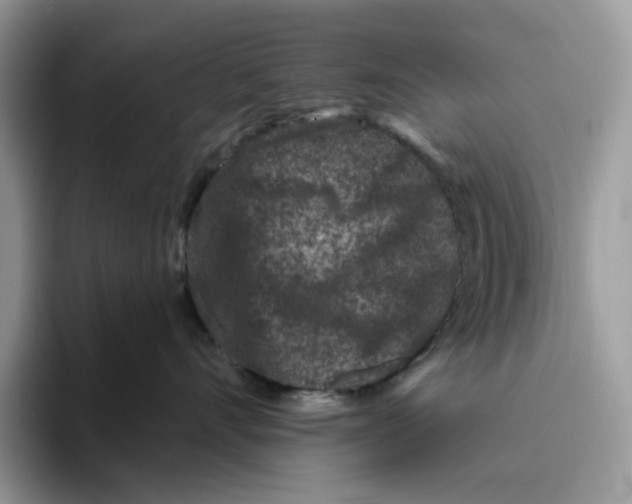 X0000093480528200711091628