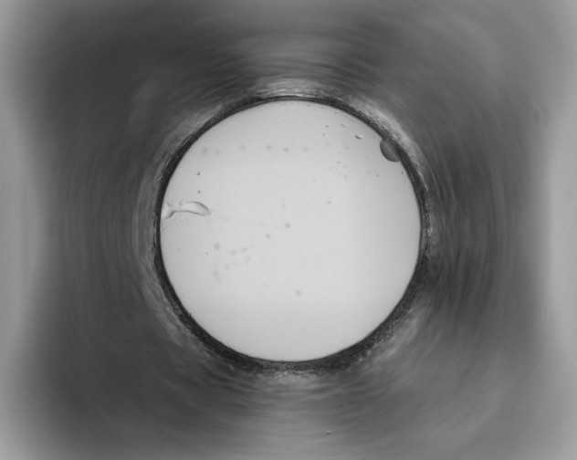 X0000093480529200711091628