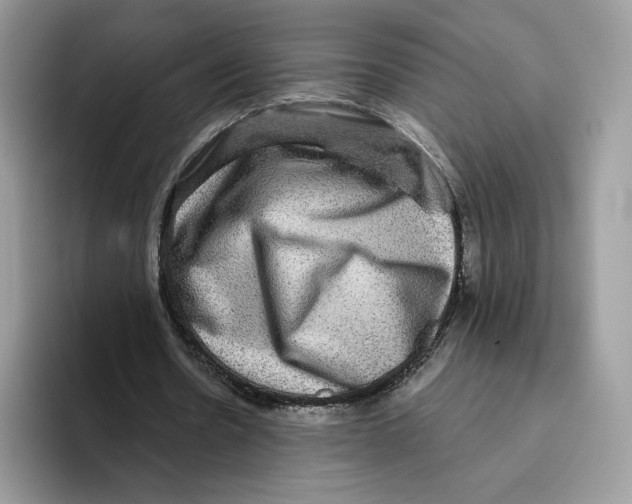 X0000093480530200711091628