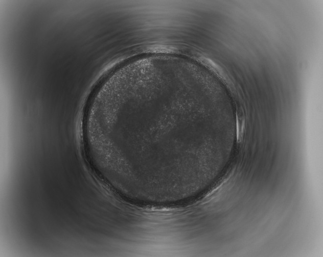 X0000093480531200711091628
