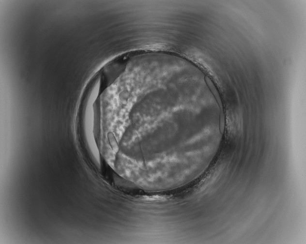 X0000093480532200711091628