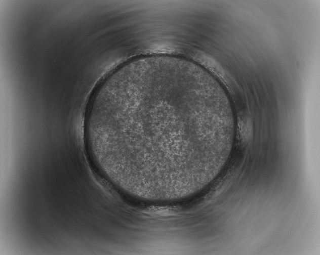 X0000093480534200711091628
