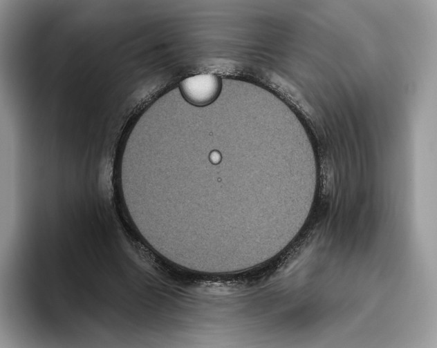 X0000093480538200711091628