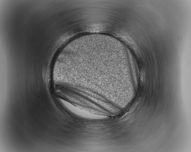 X0000093480540200711091628
