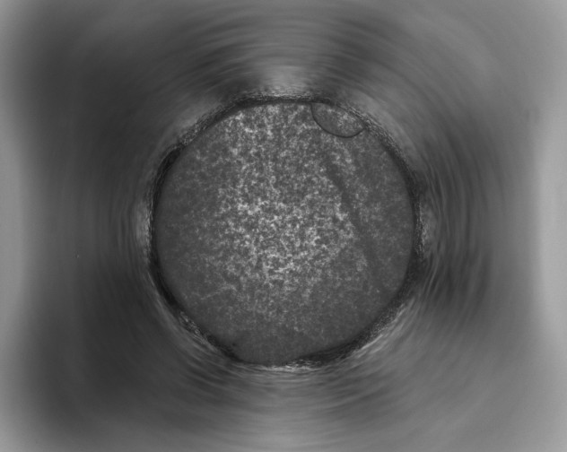 X0000093480542200711091628