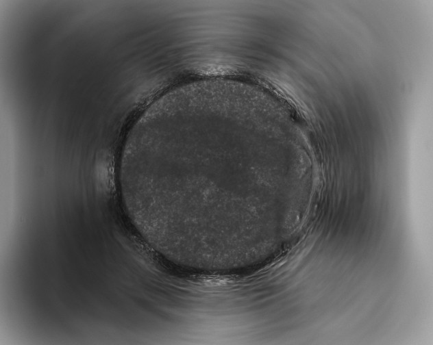 X0000093480547200711091628