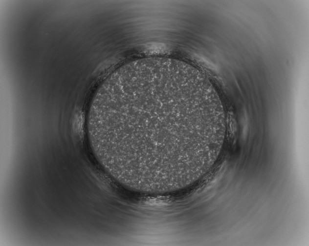 X0000093480550200711091628