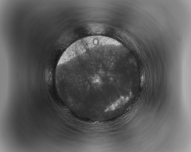 X0000093480551200711091628