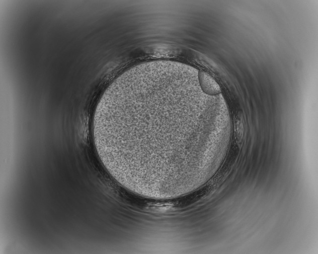 X0000093480554200711091628