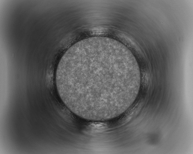 X0000093480557200711091628