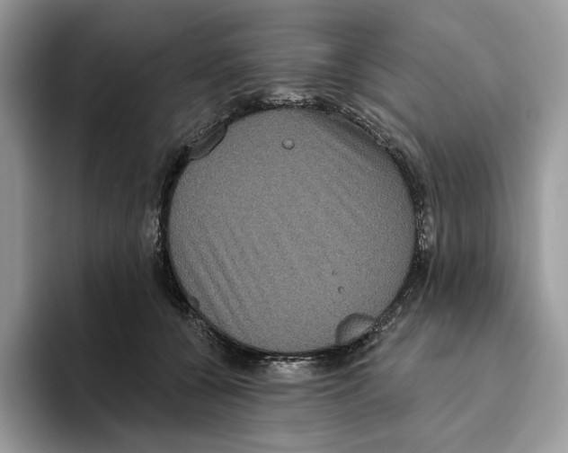 X0000093480560200711091628
