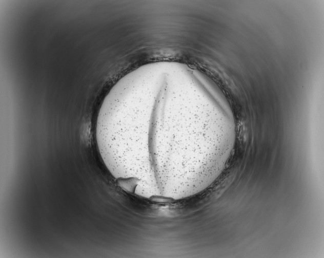 X0000093480564200711091628