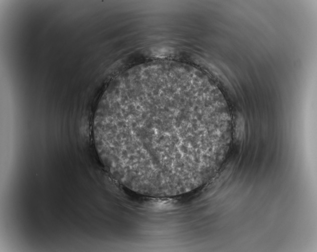 X0000093480569200711091628