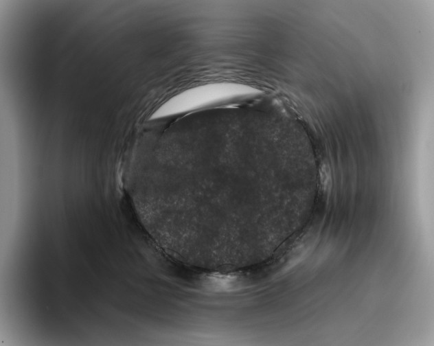 X0000093480570200711091628