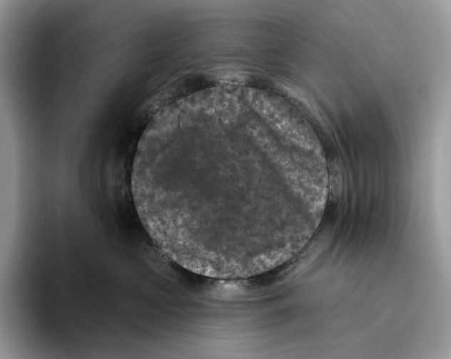 X0000093480573200711091628