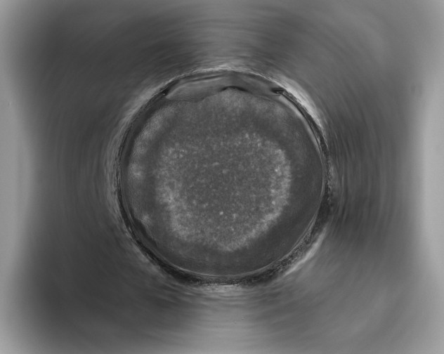 X0000093480577200711091628