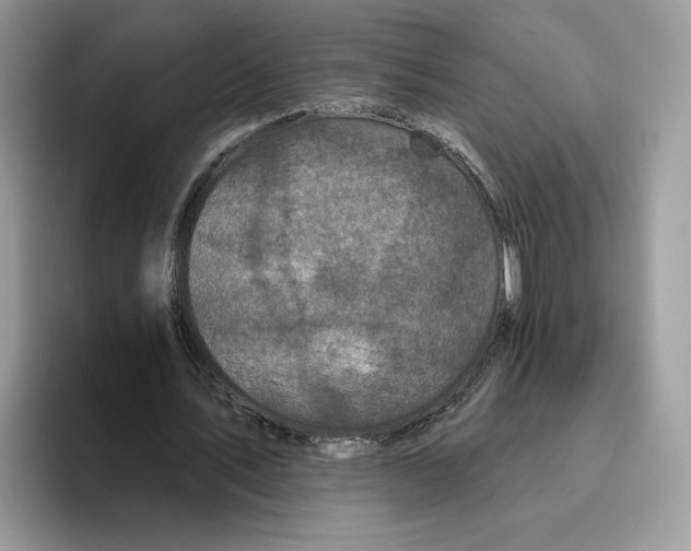 X0000093480579200711091628