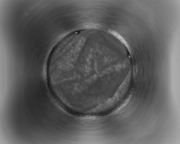 X0000093480581200711091628