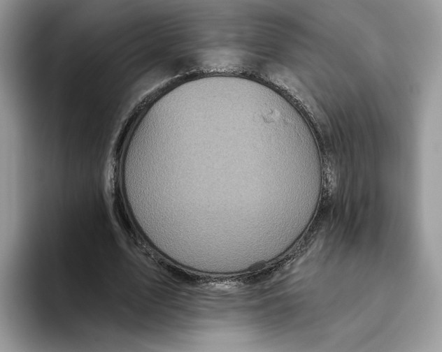 X0000093480583200711091628