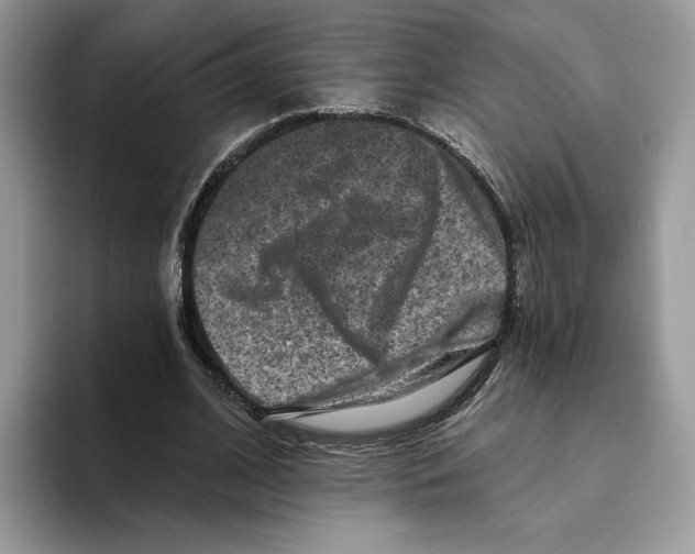 X0000093480584200711091628