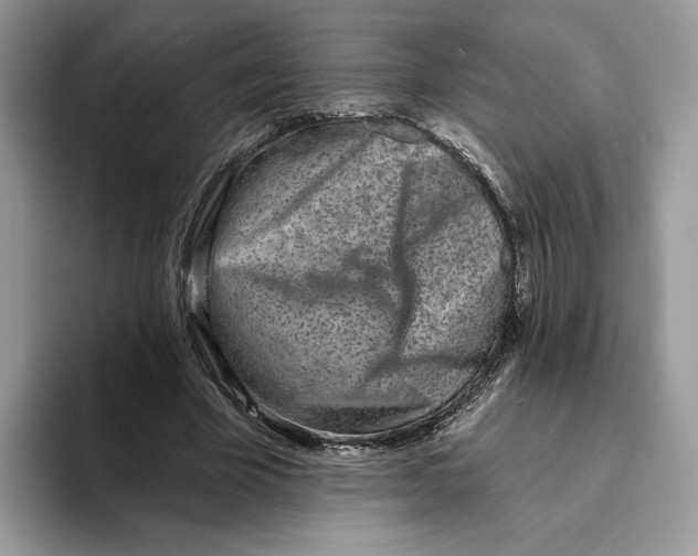 X0000093480585200711091628