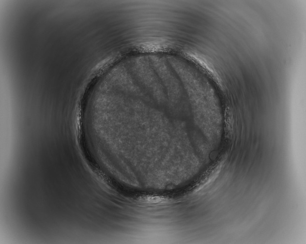 X0000093480590200711091628
