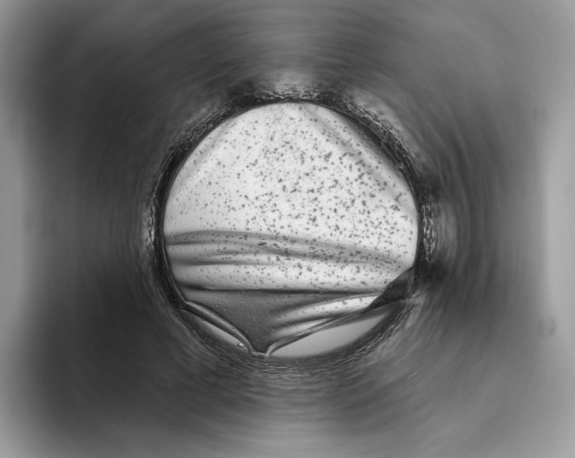 X0000093480593200711091628