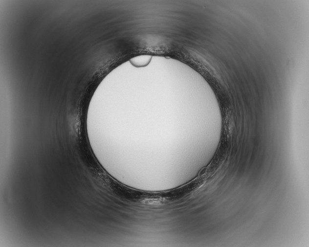 X0000093480595200711091628