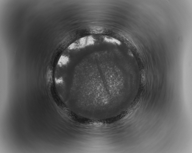 X0000093480598200711091628