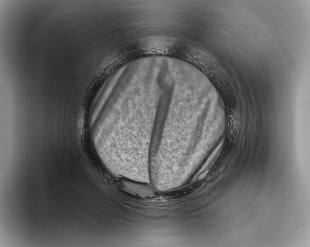 X0000093480600200711091628